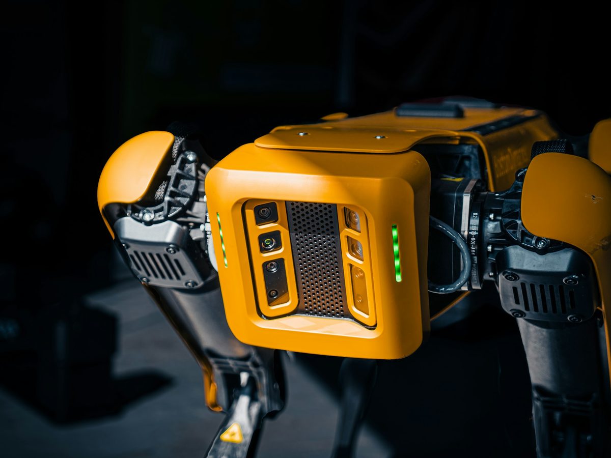 A four-legged yellow robot